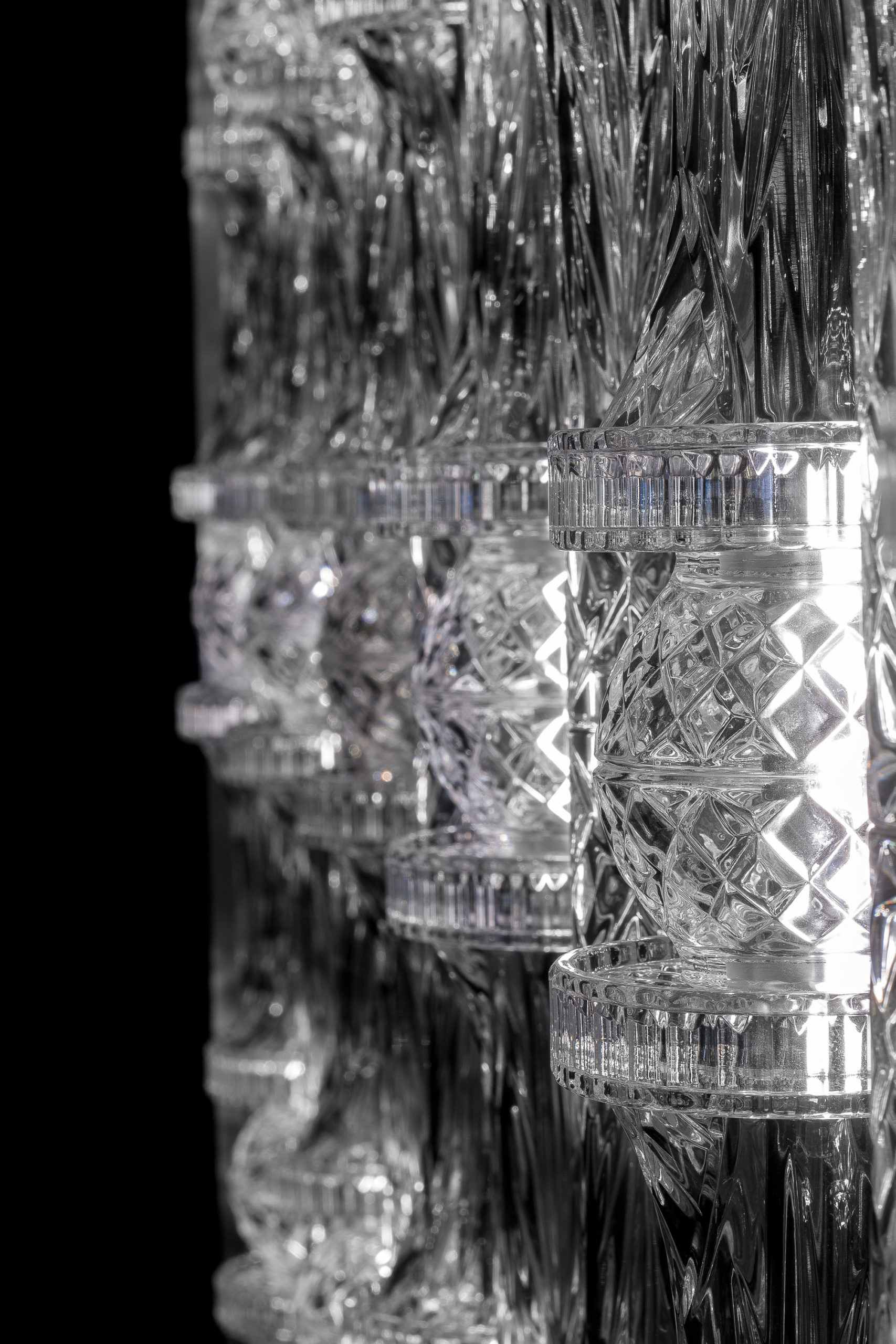 iDogi - _Z6A6828-copia