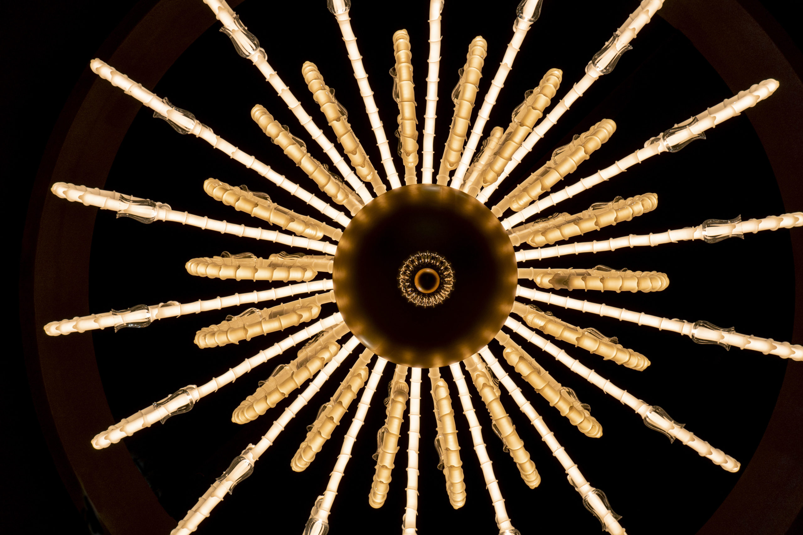 iDogi - iDOGI_Capriccio Ciandelier WEB (2)