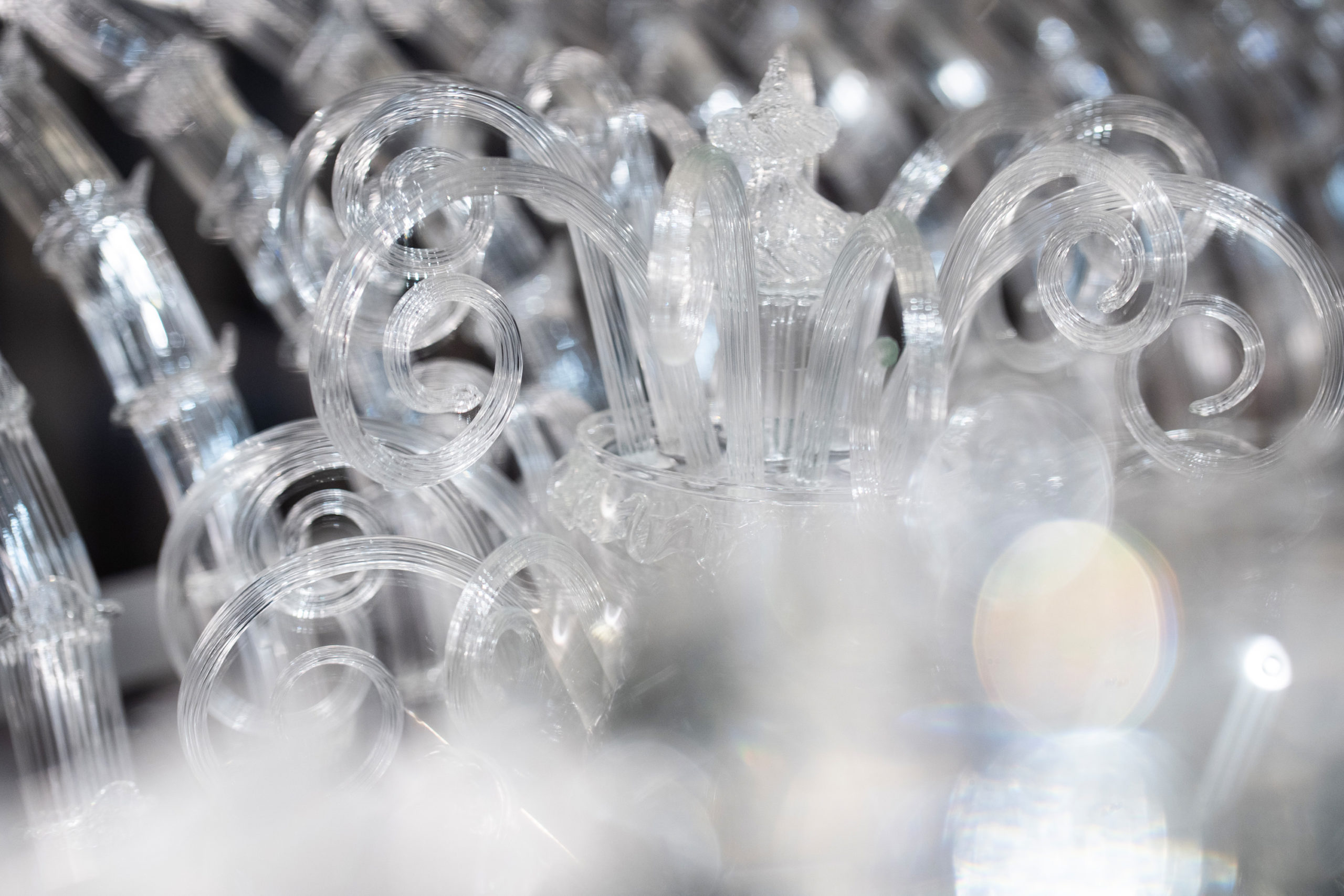 iDogi - MAO03498 copia