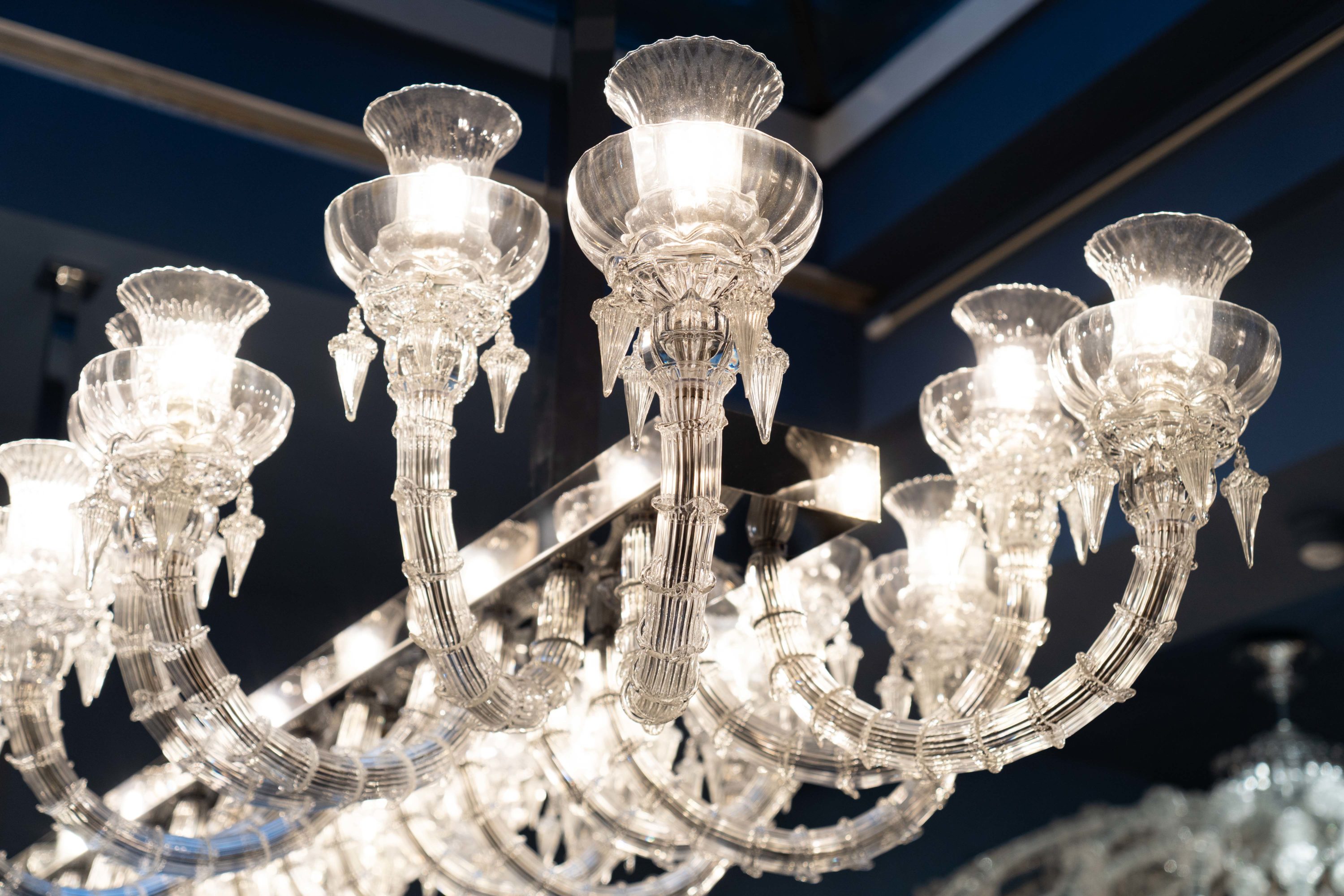 iDogi - MAU04734 copia