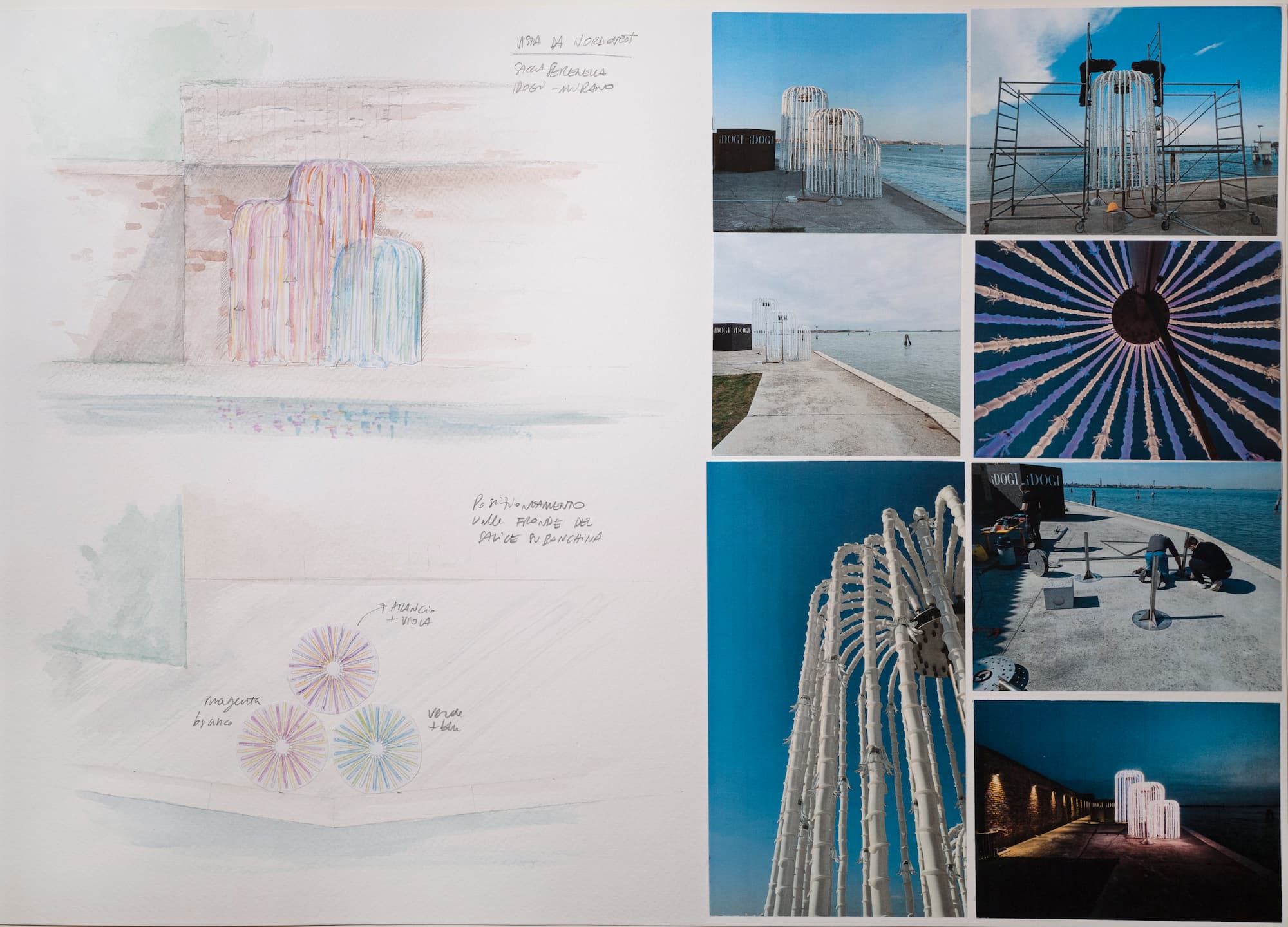 iDogi - Tree of Light_Creative Journey 5