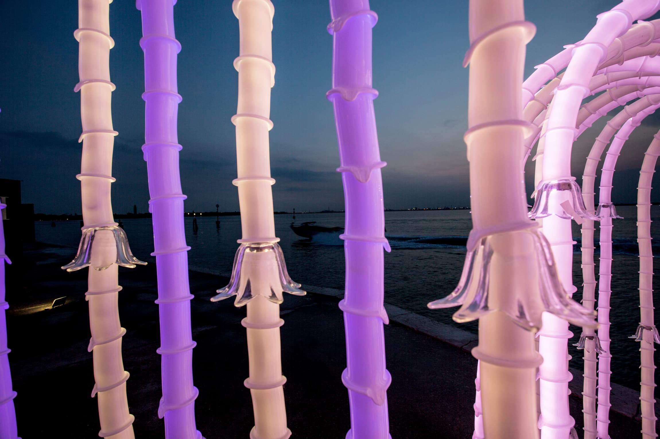 iDogi - iDOGI_Tree of Light Sistemata (7)