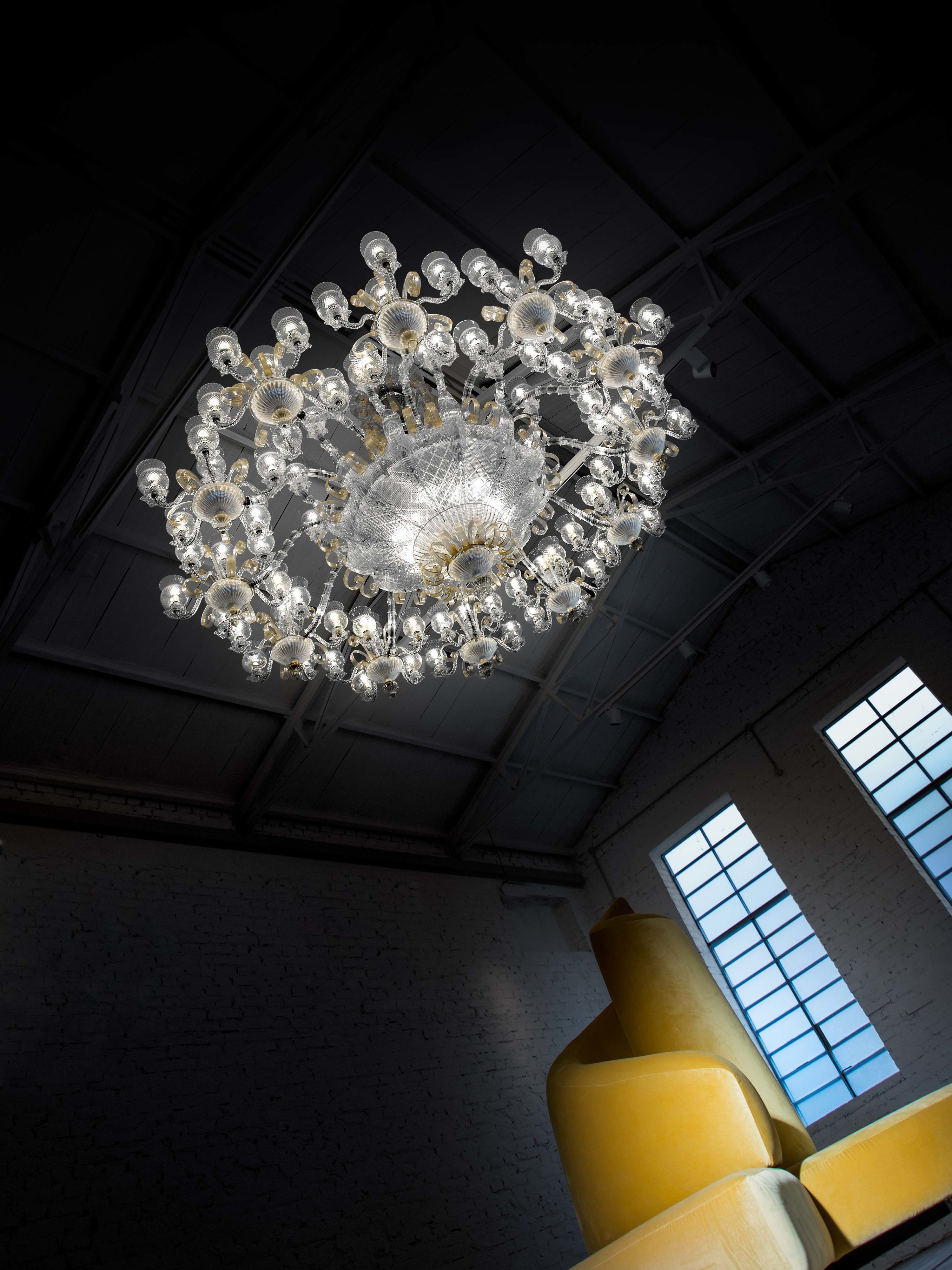 iDogi - iDOGI VENERE