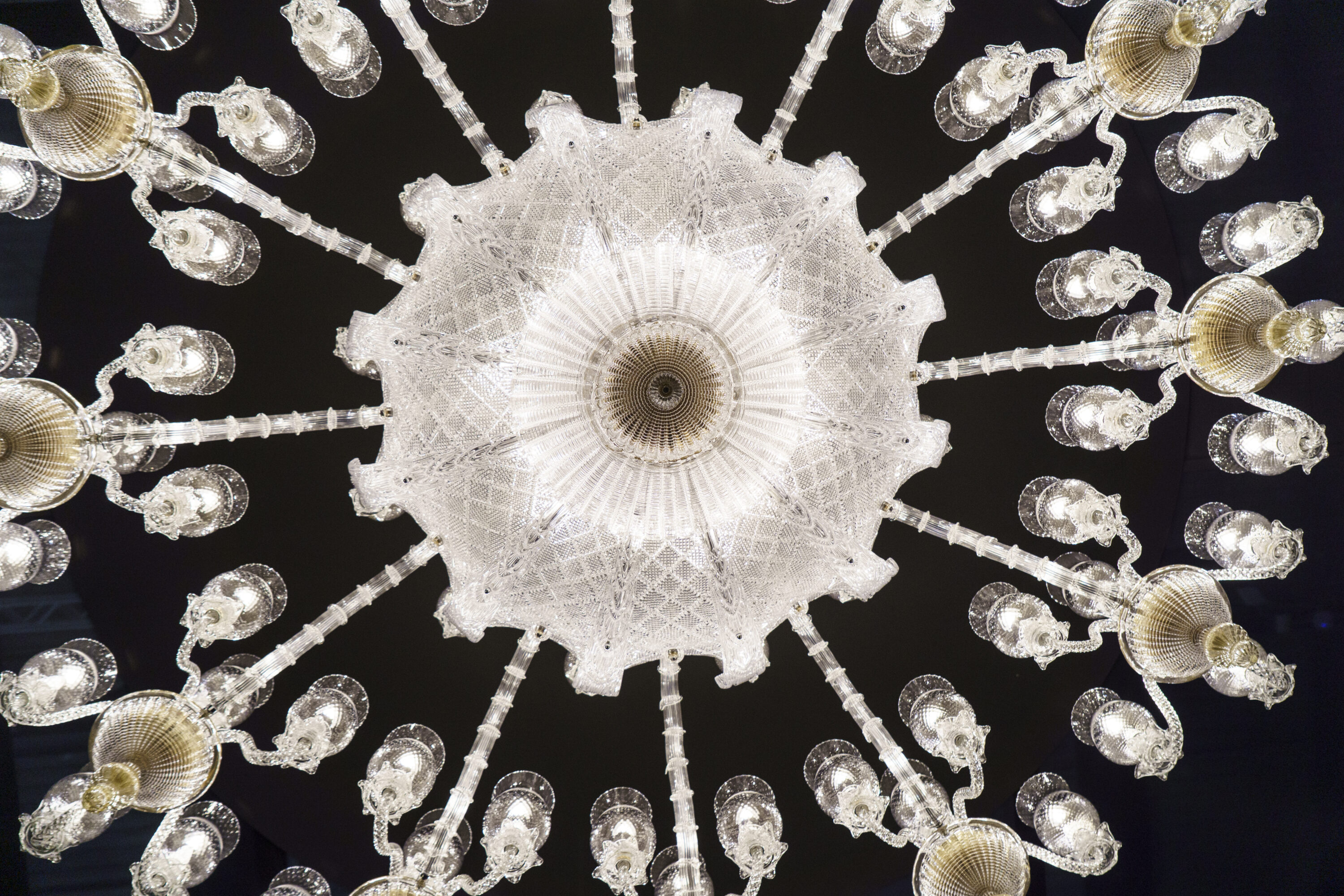 iDogi - iDOGI Venere Chandelier (2)